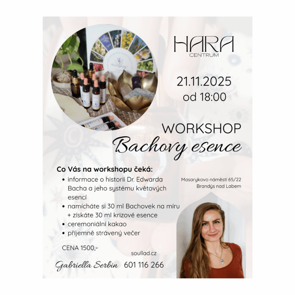 Grafika v souladu s esencí a službami